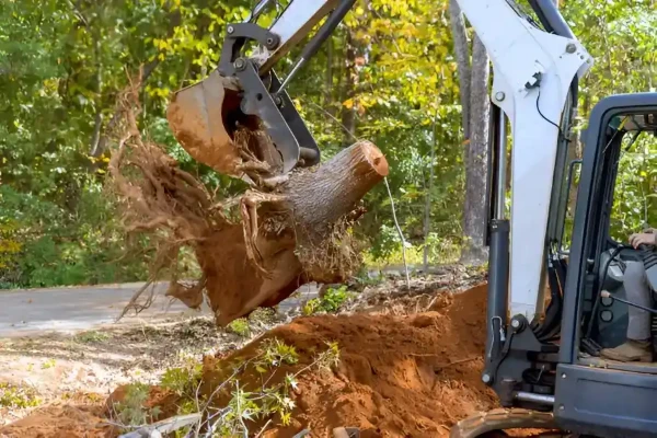 AA Top Tree Service's Other Services AA Top Tree Service's Other Services