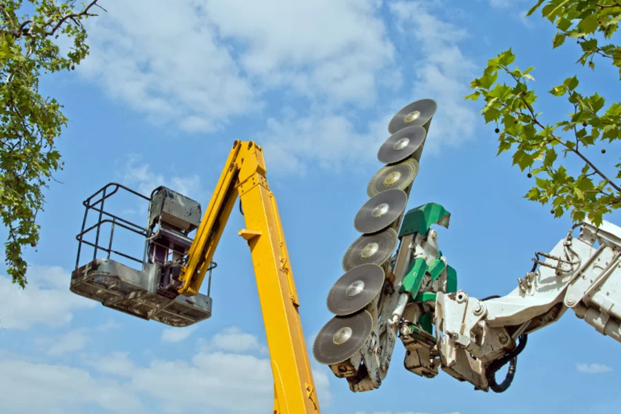 Tree Maintenance Tree Maintenance