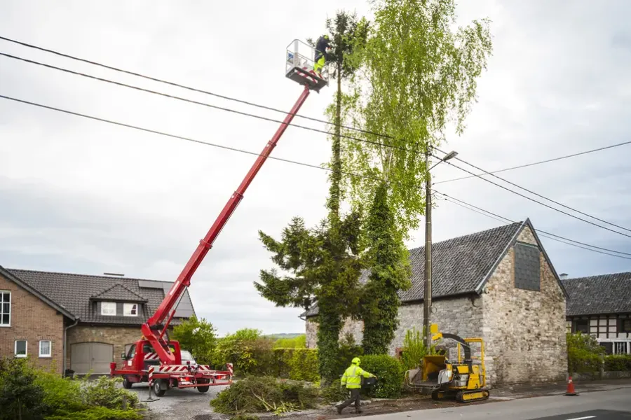 How Overgrown Branches Can Impact Property Safety in Margate, FL How Overgrown Branches Can Impact Property Safety in Margate, FL