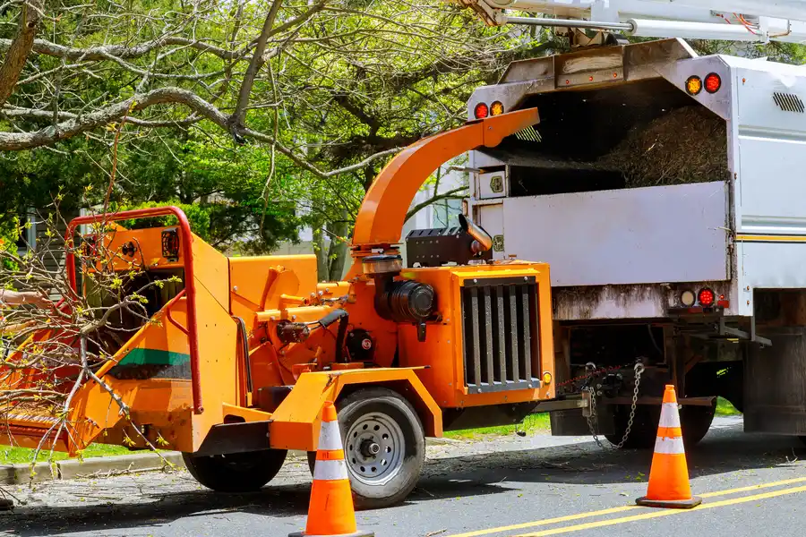 How Tree Services Improve Yard Safety Margate, FL How Tree Services Improve Yard Safety Margate, FL