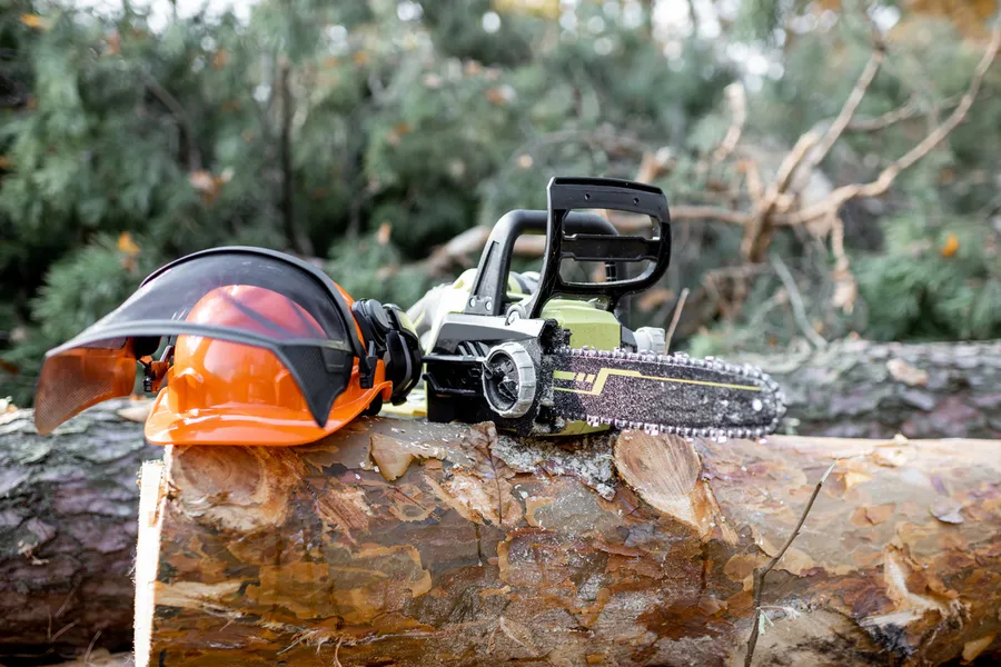 Tree Cutting Techniques That Preserve Your Landscape Design Margate, FL Tree Cutting Techniques That Preserve Your Landscape Design Margate, FL